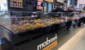 Nieuw geopend in Hof van Noortwijck